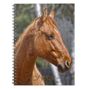 Caderno Espiral Notebook Equino Animal do amante dos cavalos