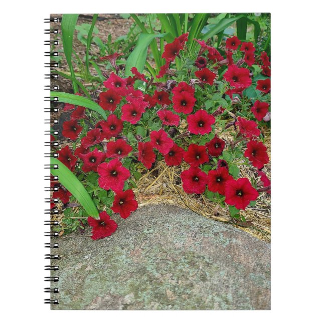 Caderno Espiral Notebook espiral (Frente)