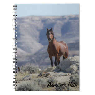 Caderno Espiral Notebook espiral