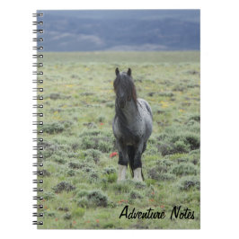 Caderno Espiral Notebook espiral com Blue Zeus