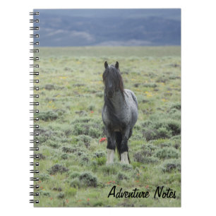 Caderno Espiral Notebook espiral com Blue Zeus