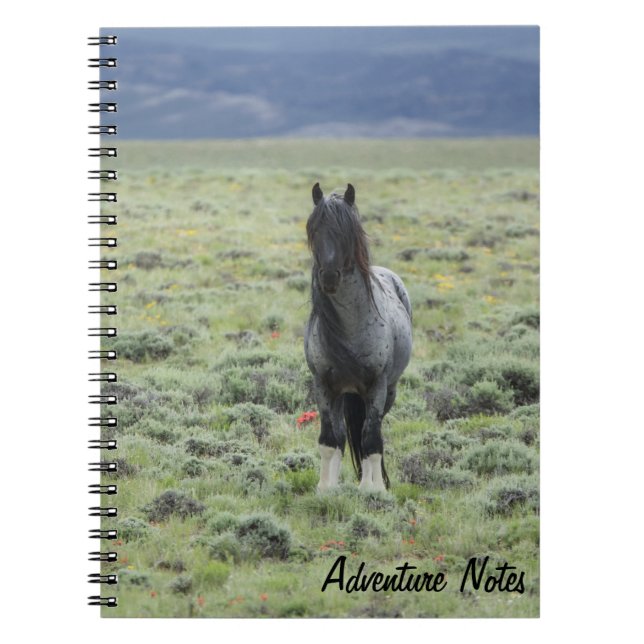 Caderno Espiral Notebook espiral com Blue Zeus (Frente)