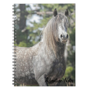 Caderno Espiral Notebook espiral com Cinza fantasma