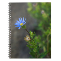 Notebook espiral com flor azul
