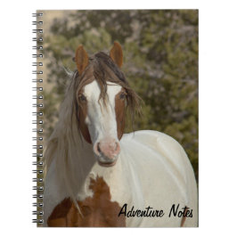 Caderno Espiral Notebook espiral com Romeo