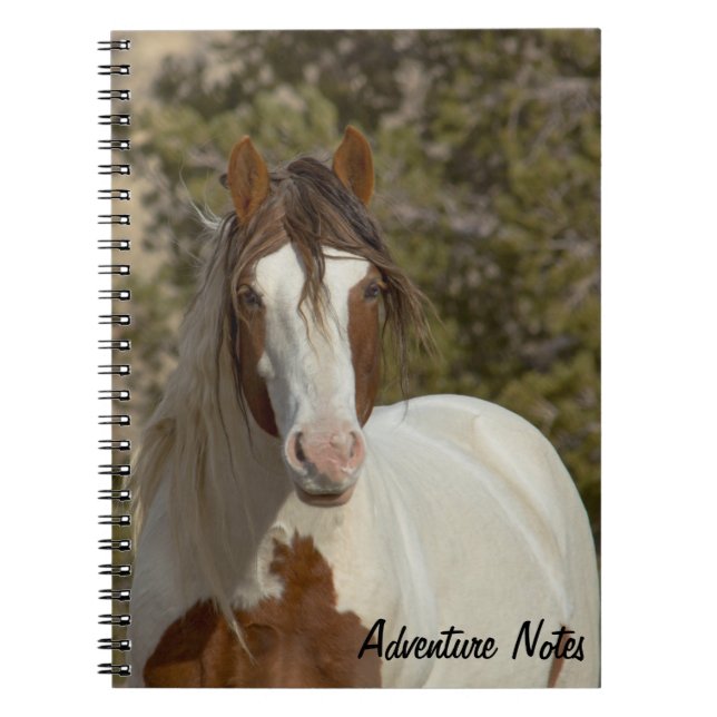 Caderno Espiral Notebook espiral com Romeo (Frente)