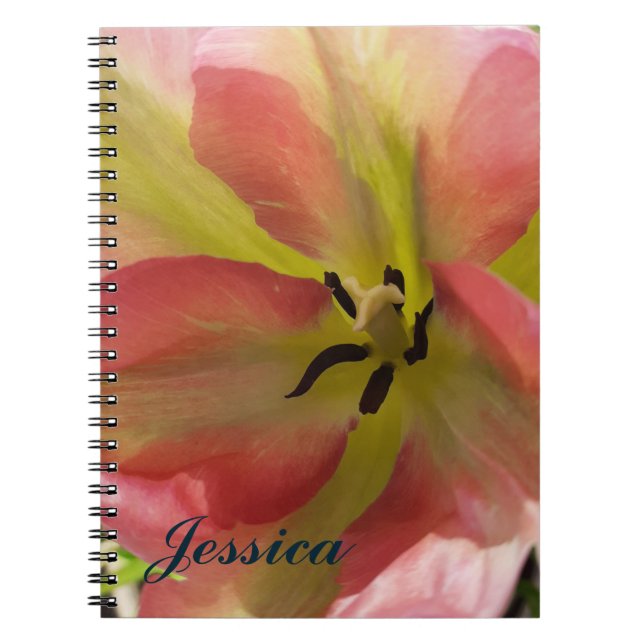 Caderno Espiral Notebook espiral com Tulipa rosa e amarela (Frente)