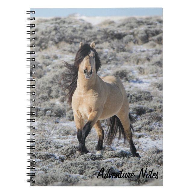 Caderno Espiral Notebook espiral com Wicahpi Hinhpaya (Frente)