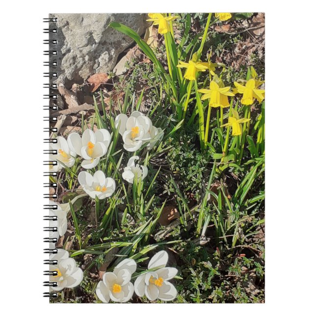 Caderno Espiral Notebook espiral Daffodils & Crocus (Frente)