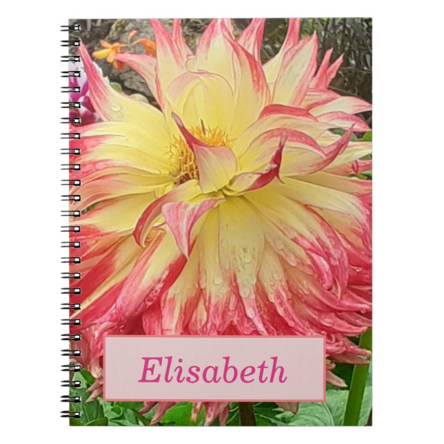 Caderno Espiral Notebook espiral Dahlia rosa e amarelo (Frente)
