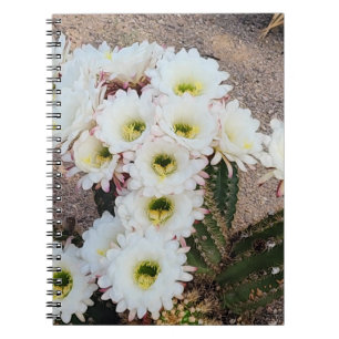 Caderno Espiral Notebook espiral de flor argentino Cactus