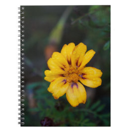 Caderno Espiral Notebook espiral de flores amarelas