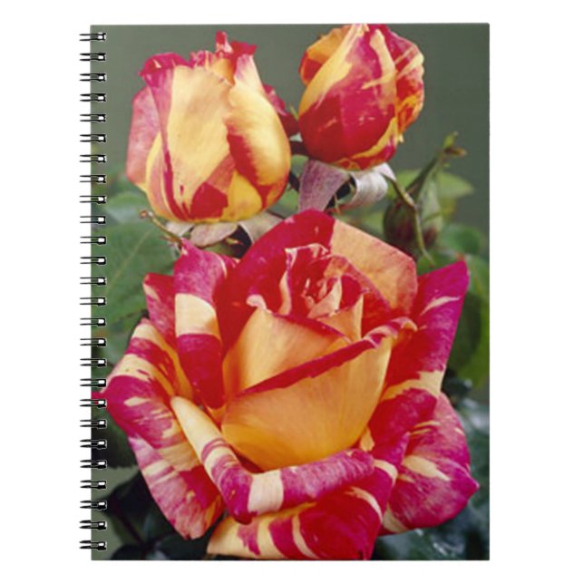 Caderno Espiral Notebook Espiral De Rosas Amarelas E Rosa (Frente)