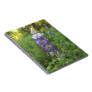 Caderno Espiral Notebook espiral de sangue roxo vibrante