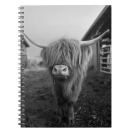 Caderno Espiral Notebook espiral de Vaca Highland