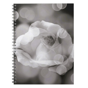 Caderno Espiral Notebook espiral Elegância do eterno