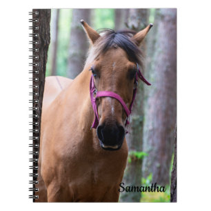 Caderno Espiral Notebook espiral equino