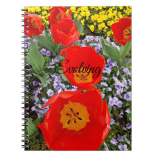 Caderno Espiral Notebook Espiral Evoluindo Tulipas Vermelhas