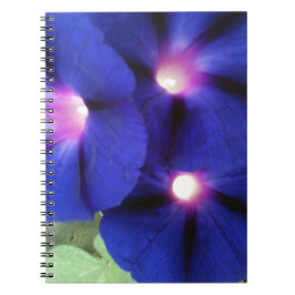 Caderno Espiral Notebook espiral floral