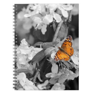 Caderno Espiral Notebook espiral Lady Butterfly