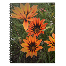 Caderno Espiral Notebook espiral laranja e preto