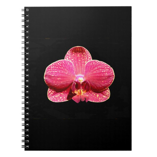 Caderno Espiral Notebook Espiral Moth Orchid (Frente)