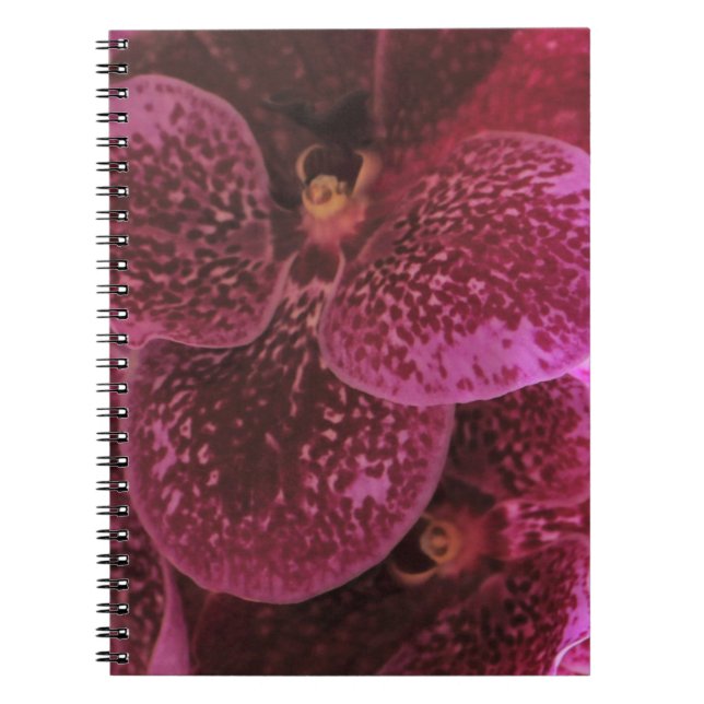Caderno Espiral Notebook espiral orquídeo roxo profundo III (Frente)