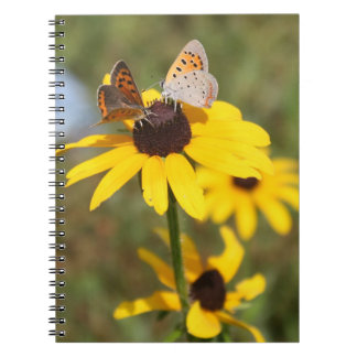 Caderno Espiral Notebook espiral para amigos da borboleta