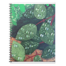 Notebook espiral "Raindrops"