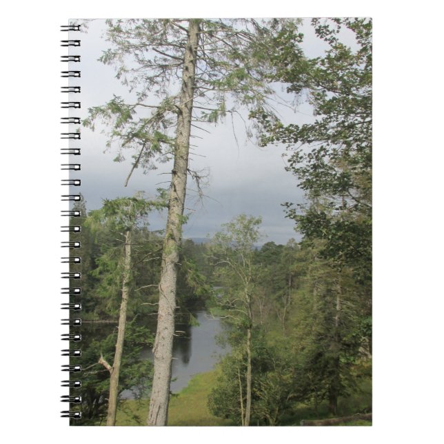 Caderno Espiral Notebook espiral Tarn Hows Trees (Frente)
