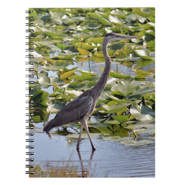 Caderno Espiral Notebook Excelente Blue Heron (Frente)