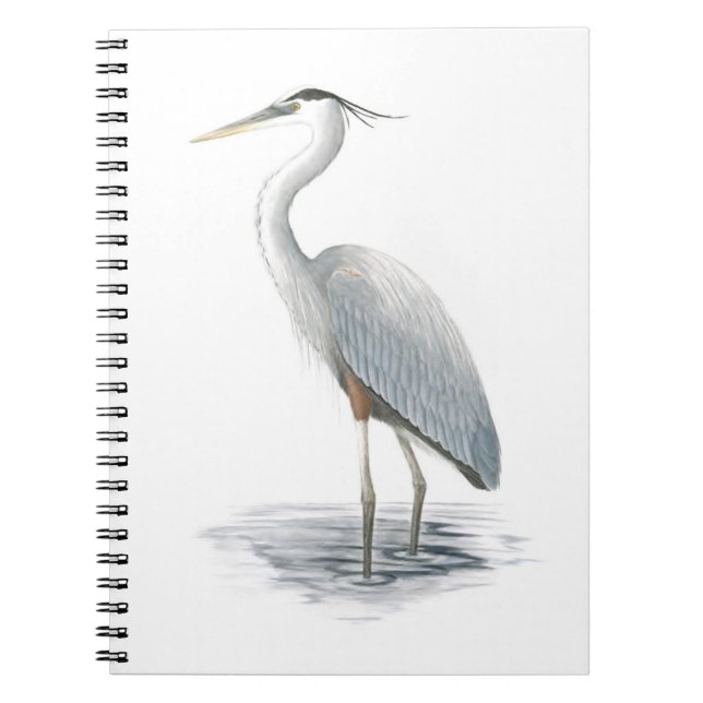 Caderno Espiral Notebook Excelente Blue Heron (Frente)