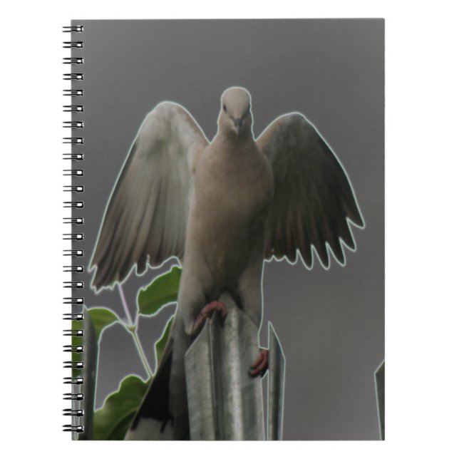 Caderno Espiral Notebook Fallen Angel Dove (Frente)