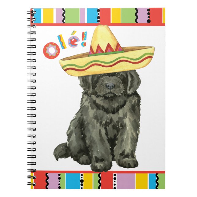 Caderno Espiral Notebook Fiesta Newfound (Frente)