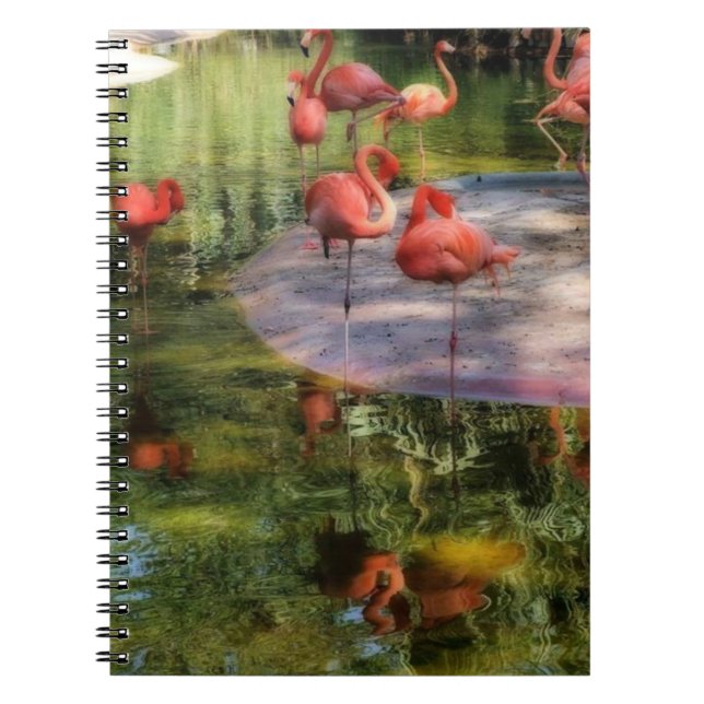 Caderno Espiral Notebook Flamingo (Frente)