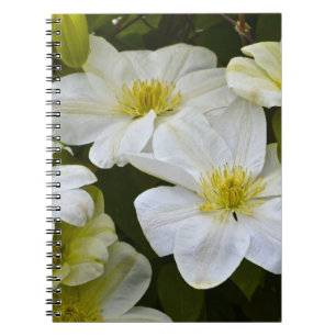 Caderno Espiral Notebook Flor