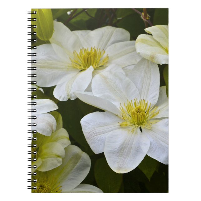 Caderno Espiral Notebook Flor (Frente)