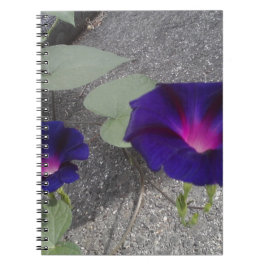 Caderno Espiral Notebook Floral