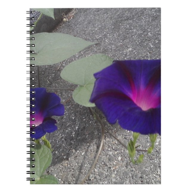 Caderno Espiral Notebook Floral (Frente)