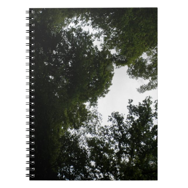 Caderno Espiral Notebook Florestal Cerrante (Frente)