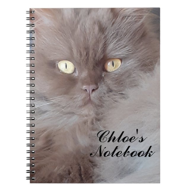 Caderno Espiral Notebook Fofinho Cat Spiral (Frente)