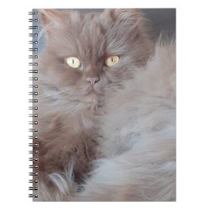 Caderno Espiral Notebook Fofinho Cat Spiral