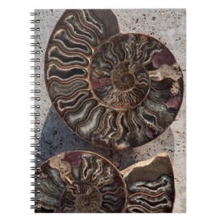 Caderno Espiral Notebook Fossil Ammonite