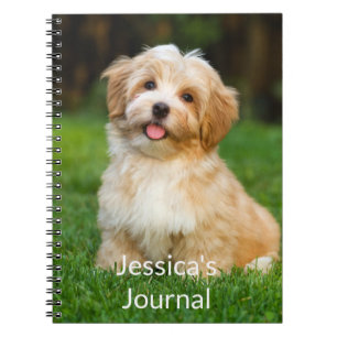 Caderno Espiral notebook fotográfico