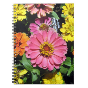 Caderno Espiral Notebook fotográfico colorido