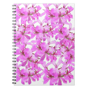 Caderno Espiral Notebook fotográfico espiral, cor-de-rosa