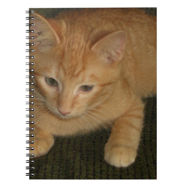 Caderno Espiral Notebook gatinho (Frente)