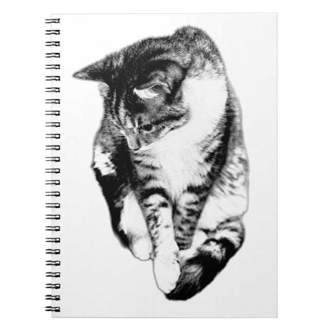 Caderno Espiral Notebook Gato Monocromático em Tabby (Frente)