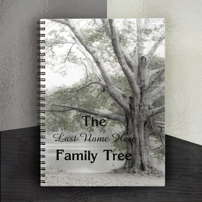 Caderno Espiral Notebook Genealogia Family Tree (Genealogy Family Tree Notebook)