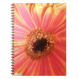 Caderno Espiral Notebook Gerbera Daisy Flower